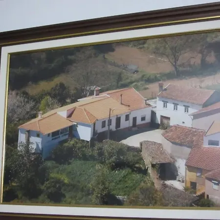 Charming House In Miranda Do Corvo + Spacious Terrace Vale de Colmeias