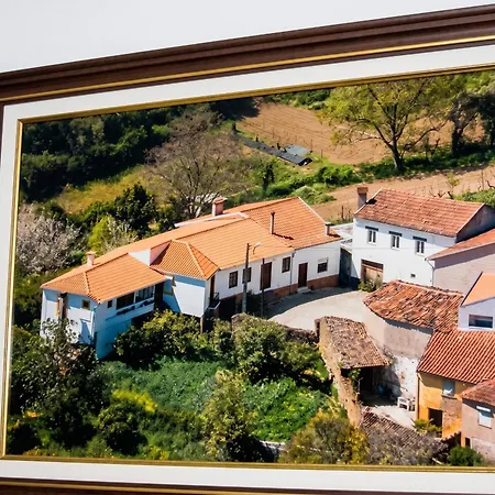 Charming House In Miranda Do Corvo + Spacious Terrace Vale de Colmeias