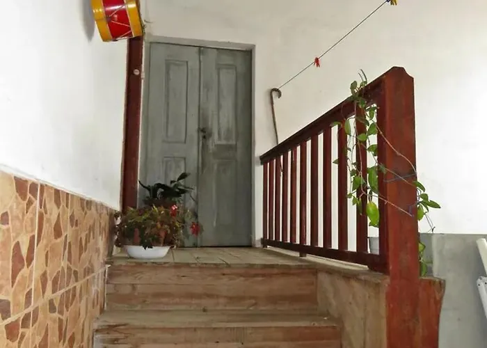 Charming House In Miranda Do Corvo + Spacious Terrace بيت للعطل Vale de Colmeias